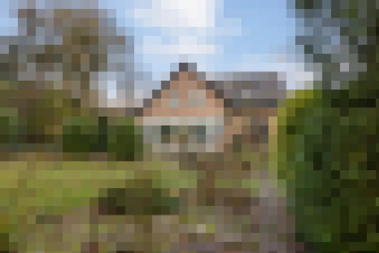Dennenlaan 27 Hoogerheide thumbnail 30