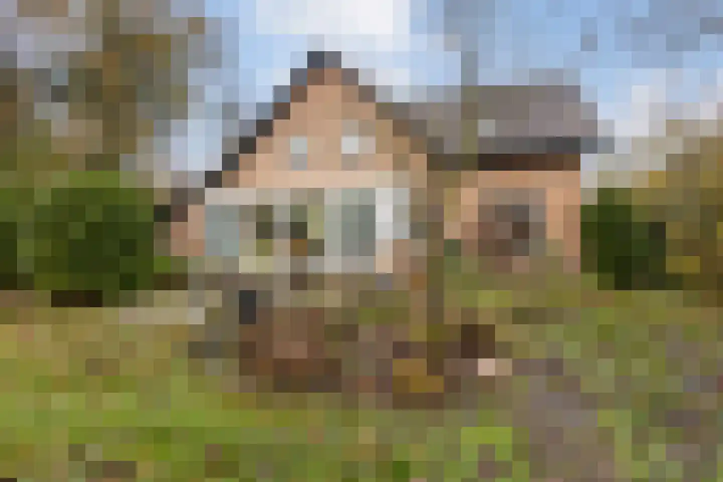 Dennenlaan 27 Hoogerheide thumbnail 31