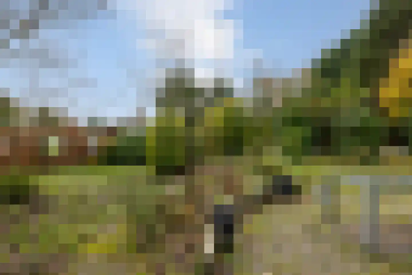 Dennenlaan 27 Hoogerheide thumbnail 34