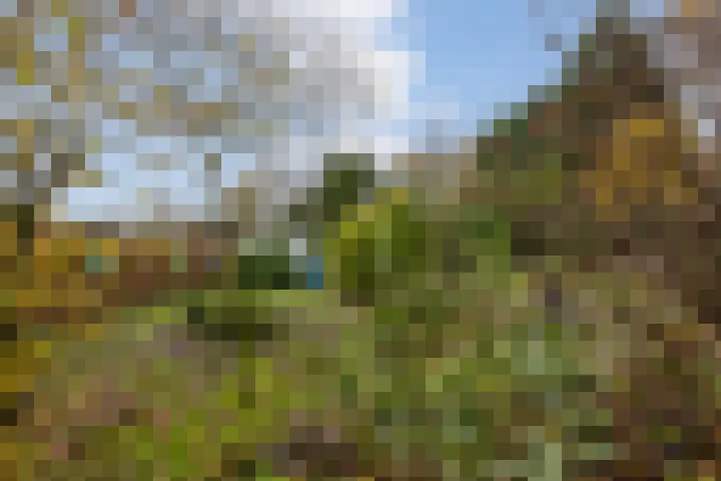Dennenlaan 27 Hoogerheide thumbnail 35