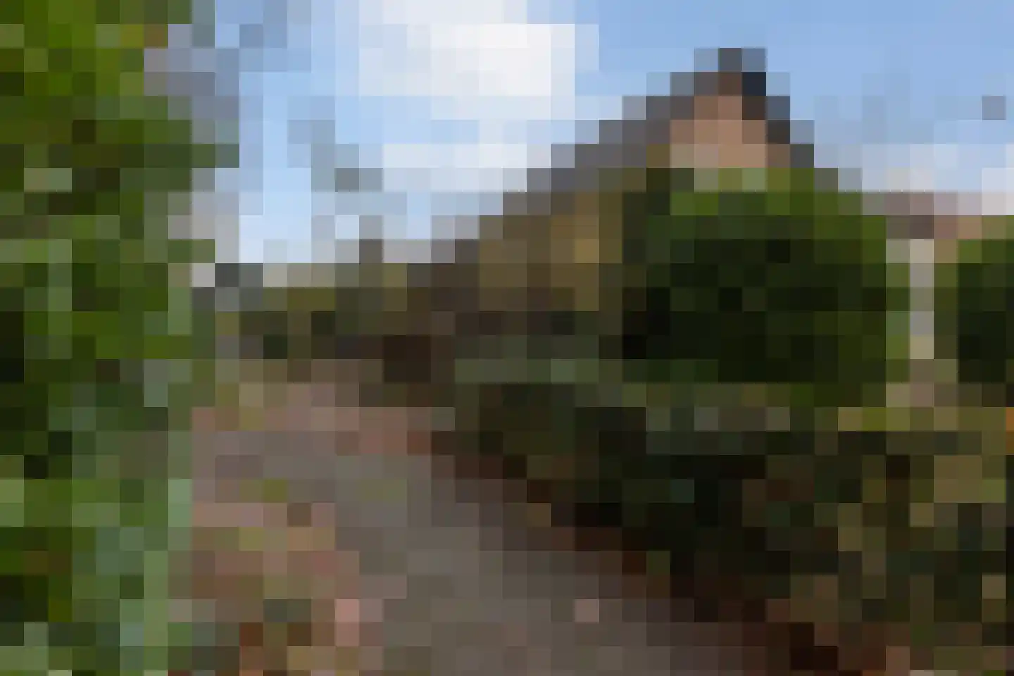 Dennenlaan 27 Hoogerheide thumbnail 37