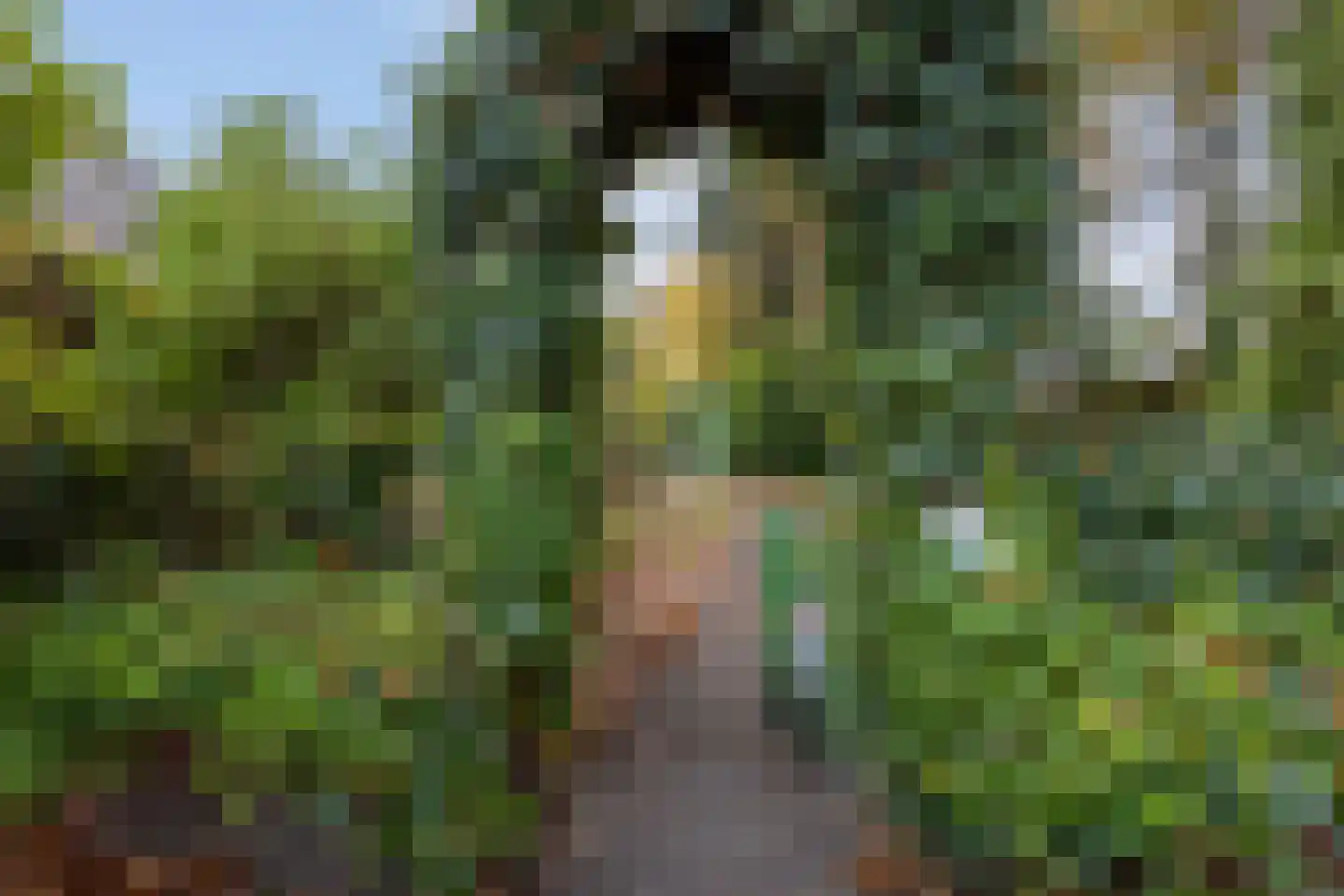 Dennenlaan 27 Hoogerheide thumbnail 38