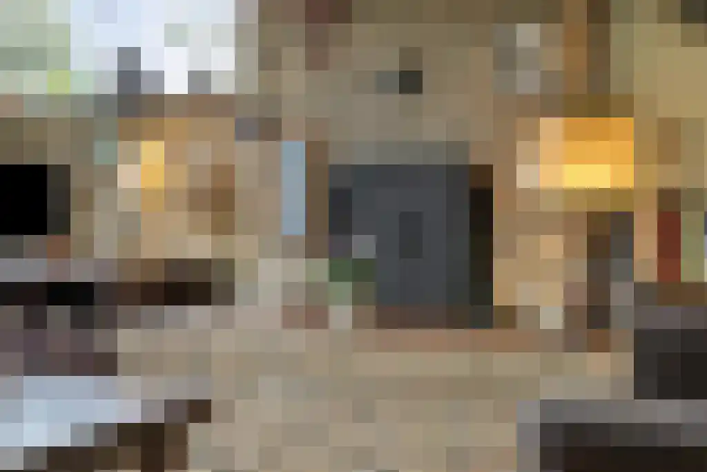 Dennenlaan 27 Hoogerheide thumbnail 6