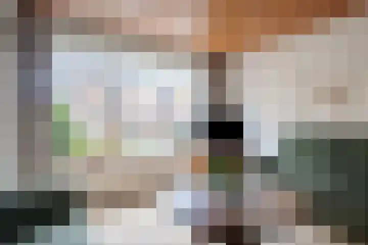 Dennenlaan 29 Heerhugowaard thumbnail 10