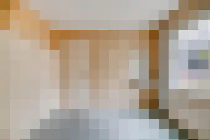 Dennenlaan 29 Heerhugowaard thumbnail 22