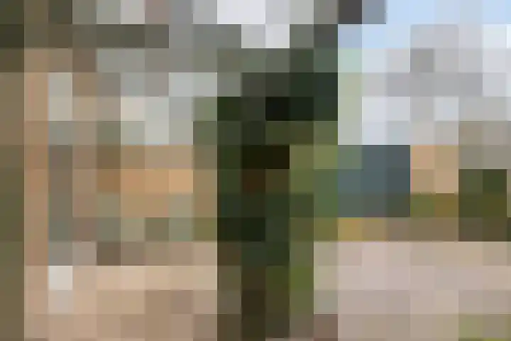 Dennenlaan 29 Heerhugowaard thumbnail 37