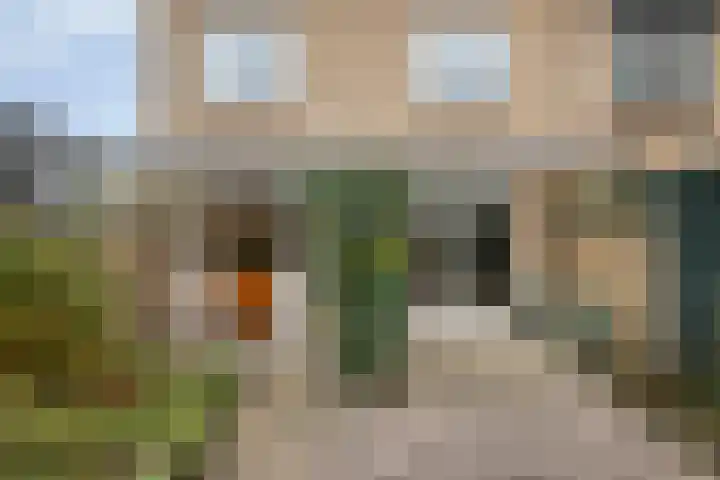 Dennenlaan 29 Heerhugowaard thumbnail 38