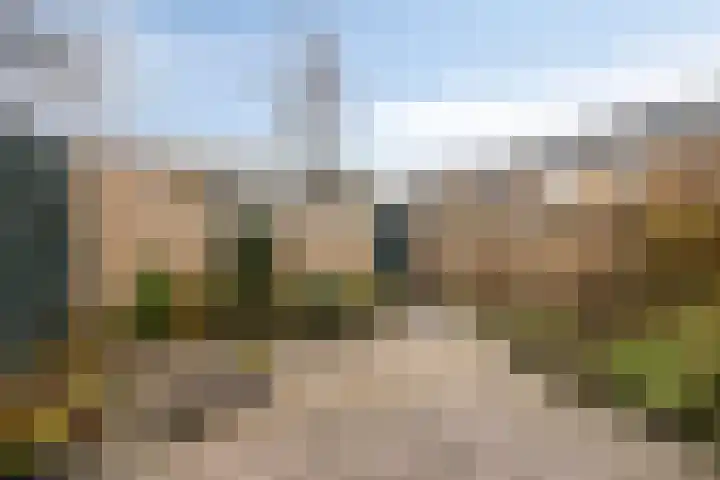Dennenlaan 29 Heerhugowaard thumbnail 39