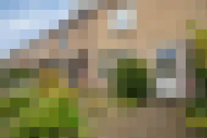 Dennenlaan 29 Heerhugowaard thumbnail 4