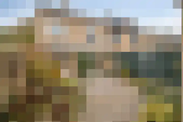 Dennenlaan 29 Heerhugowaard thumbnail 41