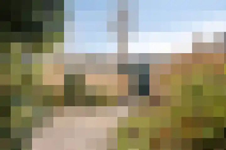 Dennenlaan 29 Heerhugowaard thumbnail 41