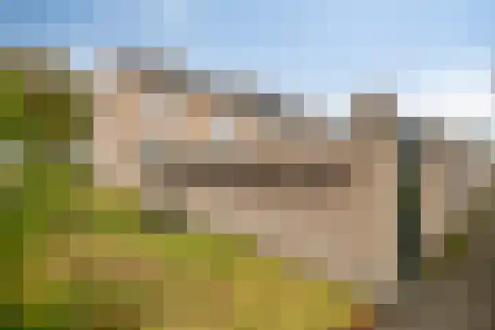 Dennenlaan 29 Heerhugowaard thumbnail 5