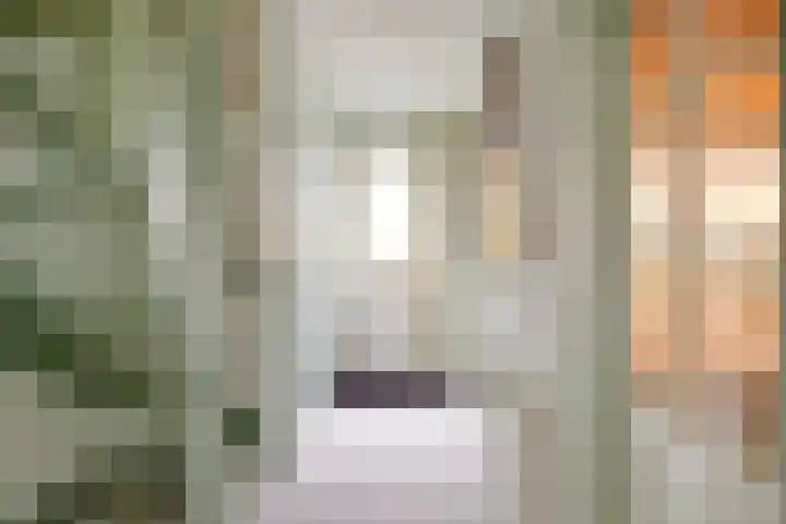 Dennenlaan 29 Heerhugowaard thumbnail 6