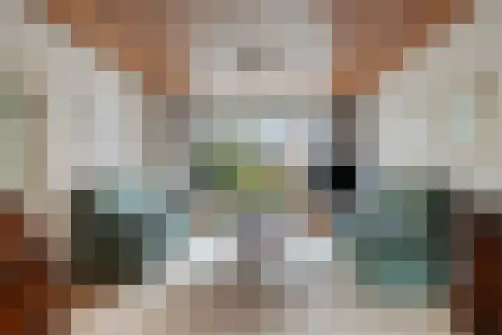 Dennenlaan 29 Heerhugowaard thumbnail 8