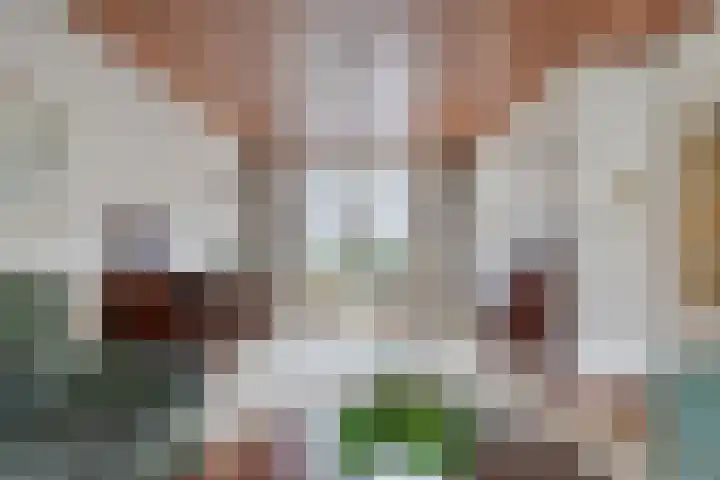 Dennenlaan 29 Heerhugowaard thumbnail 9