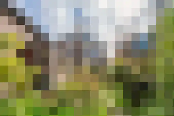 Dennenlaan 29 Zwanenburg thumbnail 12