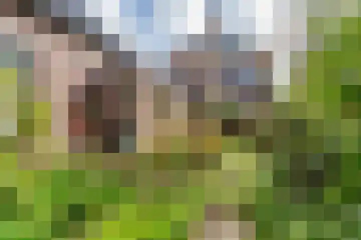 Dennenlaan 29 Zwanenburg thumbnail 13