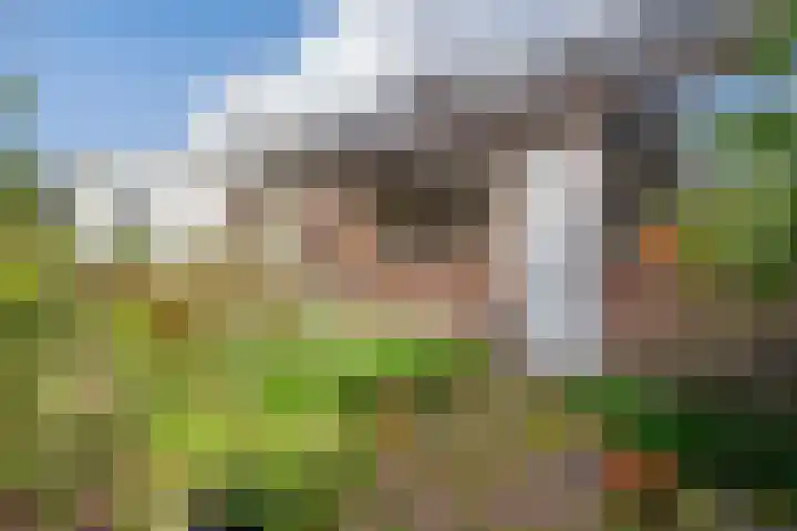 Dennenlaan 29 Zwanenburg thumbnail 14