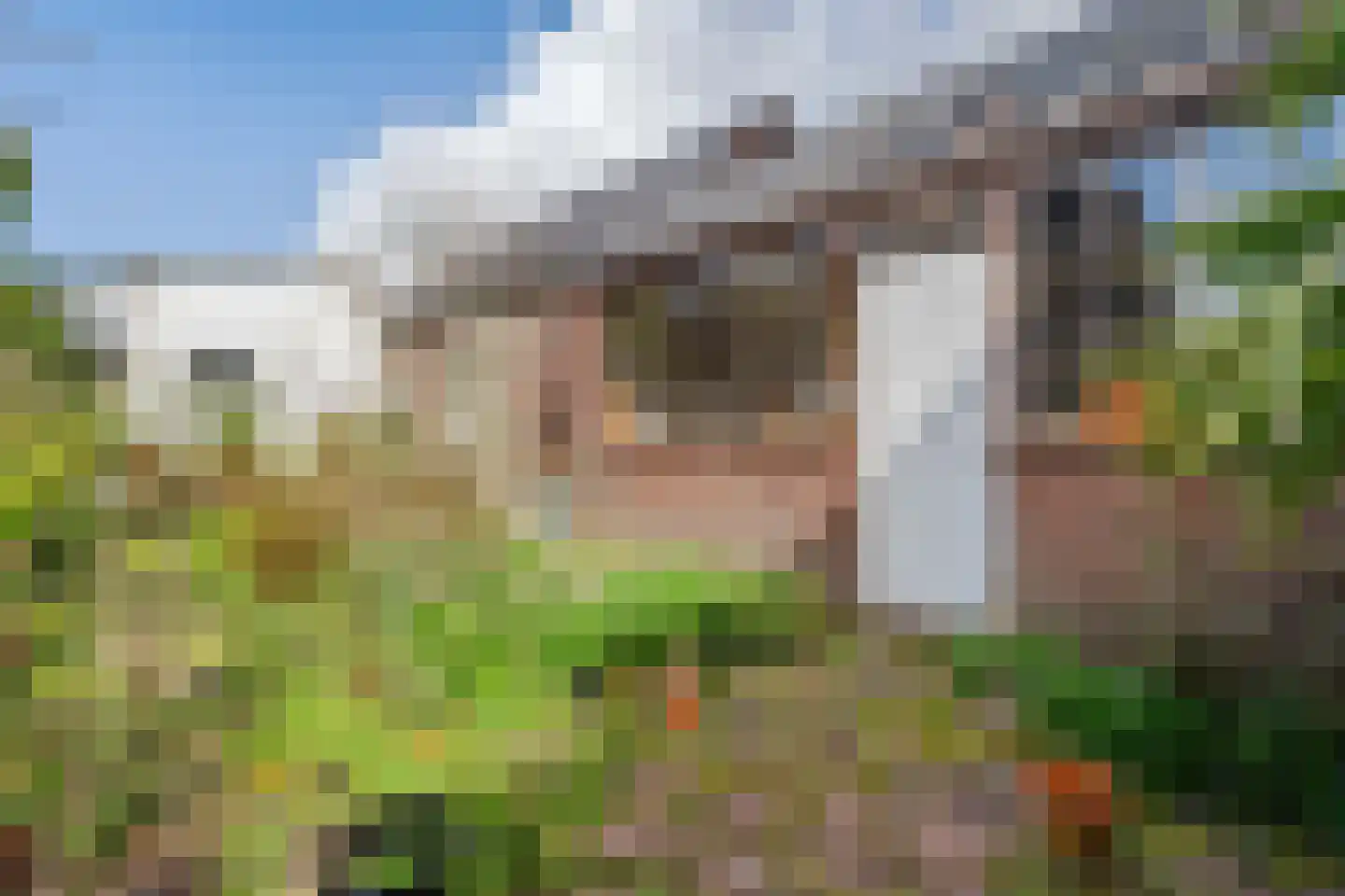 Dennenlaan 29 Zwanenburg thumbnail 14