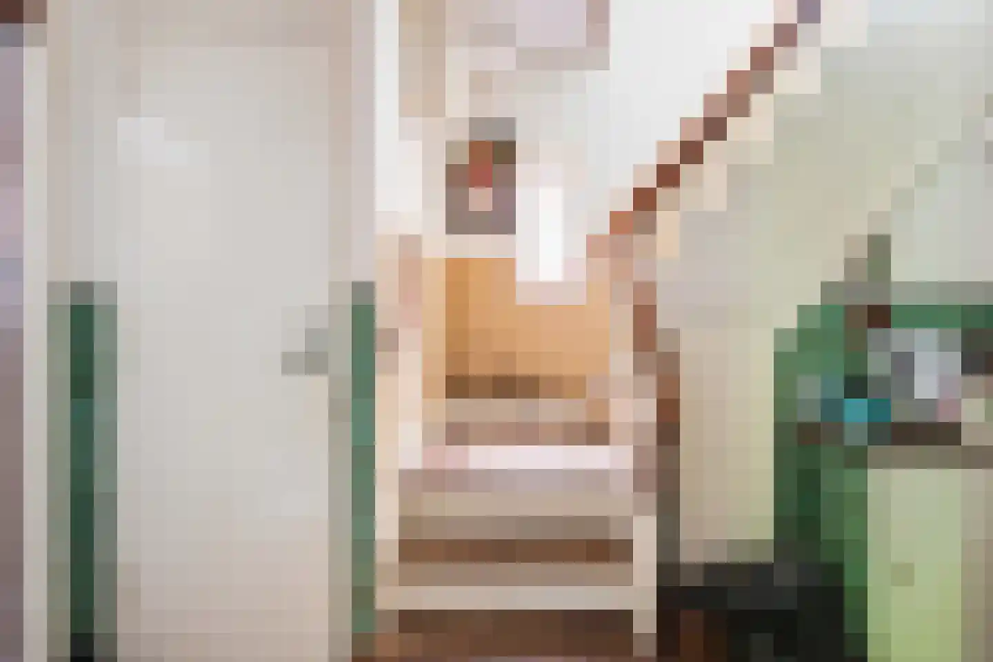 Dennenlaan 29 Zwanenburg thumbnail 18