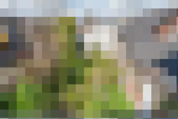 Dennenlaan 29 Zwanenburg thumbnail 22