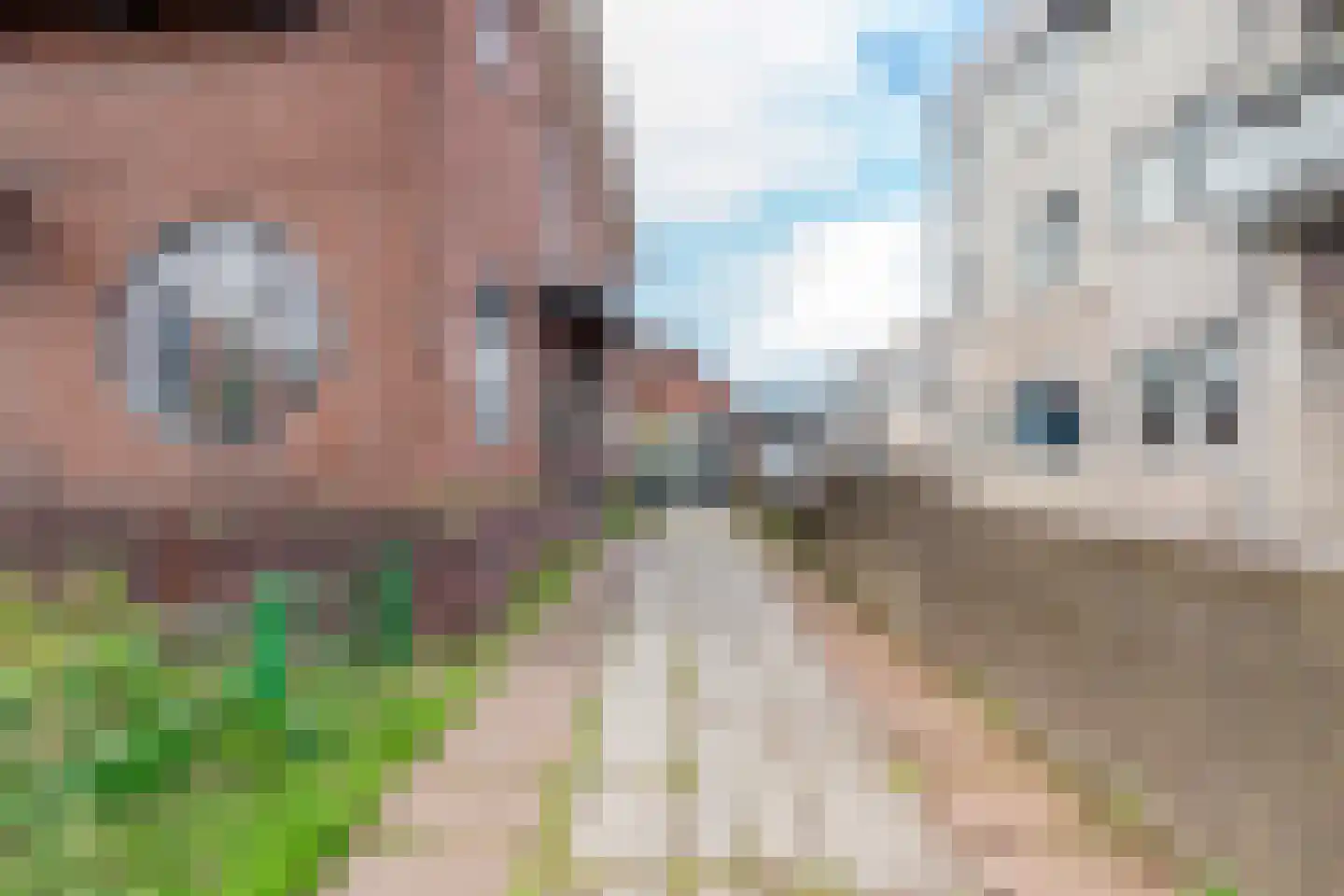 Dennenlaan 29 Zwanenburg thumbnail 34