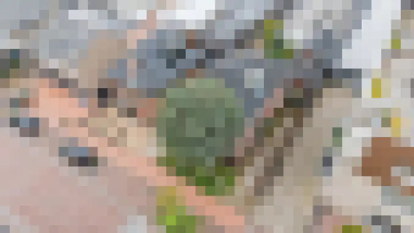 Dennenlaan 29 Zwanenburg thumbnail 39