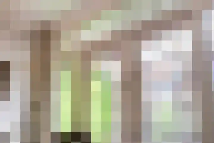 Dennenlaan 29 Zwanenburg thumbnail 8