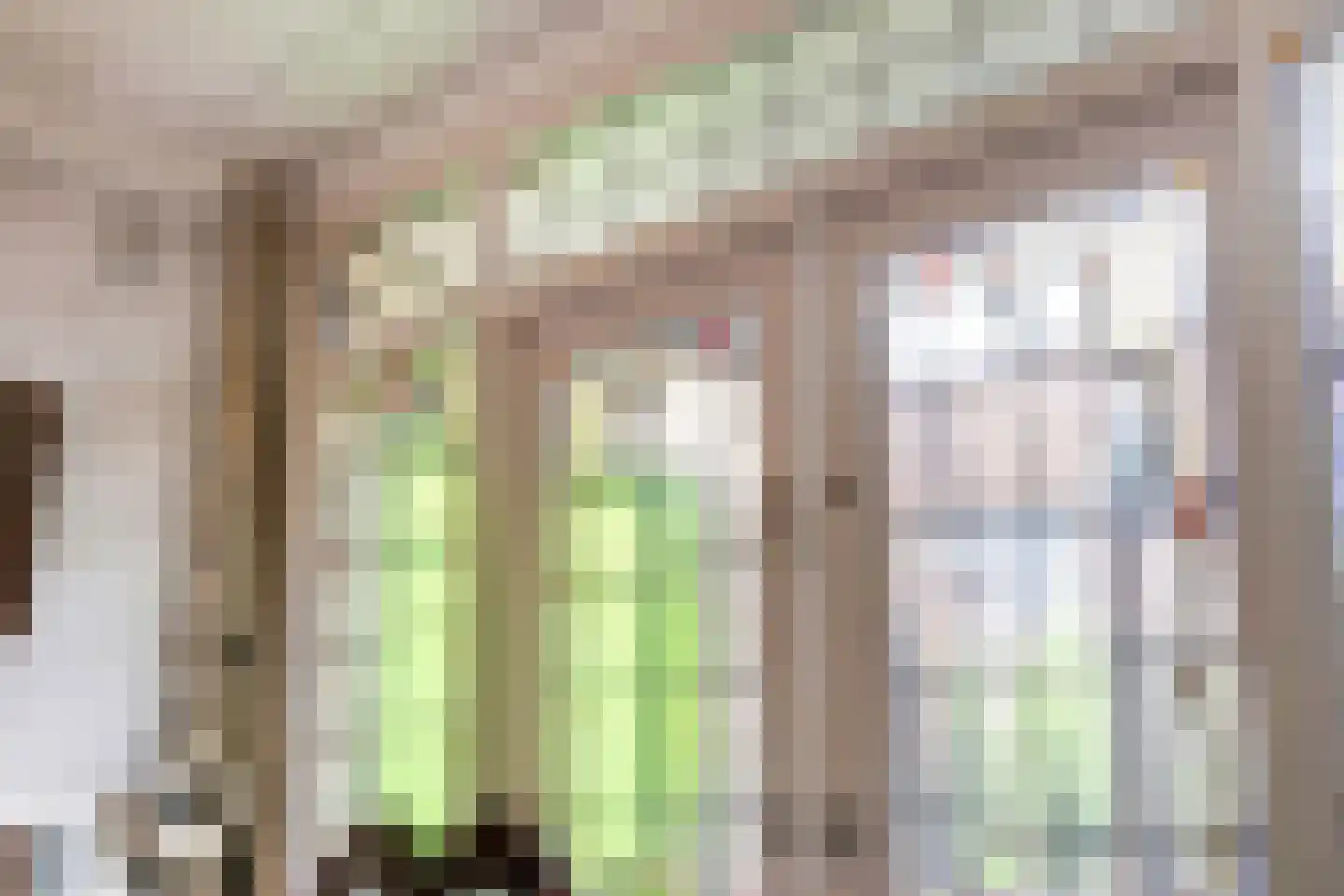 Dennenlaan 29 Zwanenburg thumbnail 8