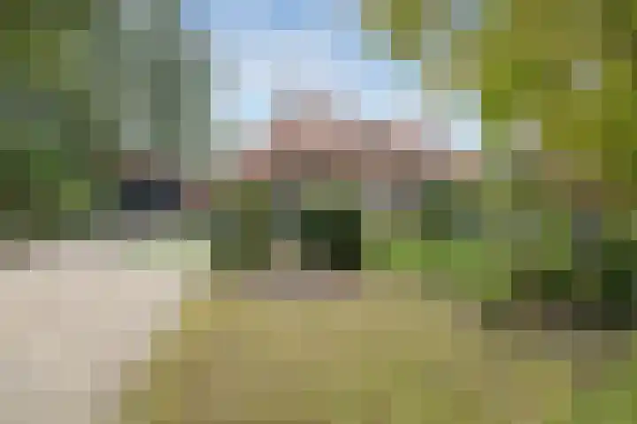 Dennenlaan 3 Maarn