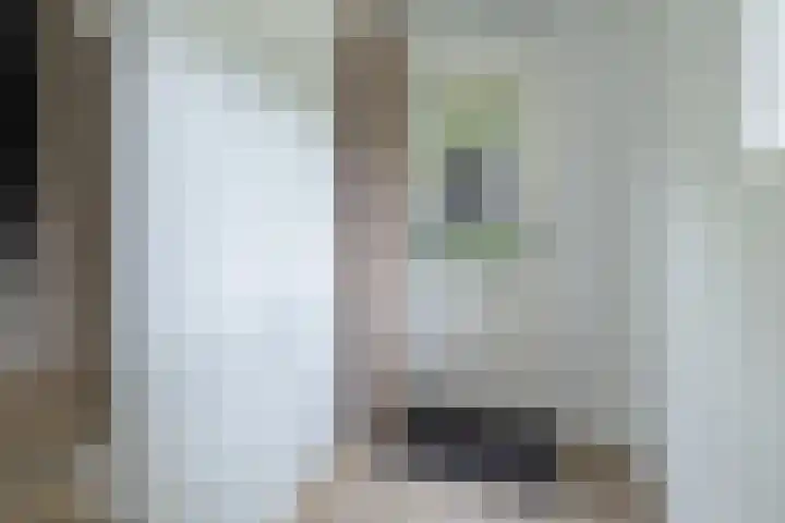 Dennenlaan 3 Maarn thumbnail 15