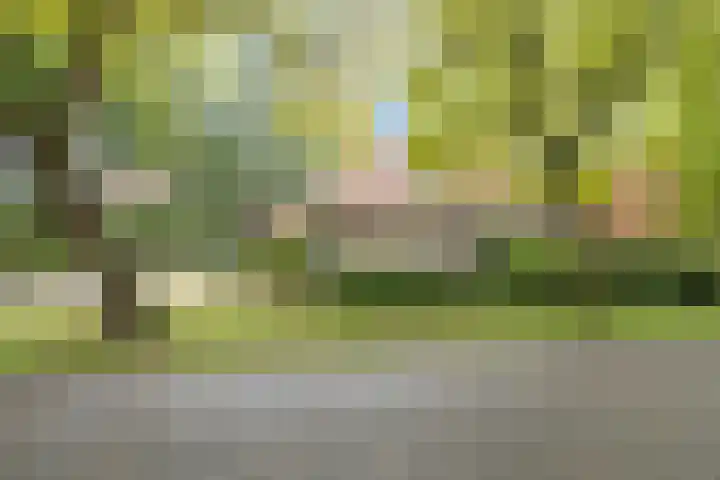 Dennenlaan 3 Maarn thumbnail 32