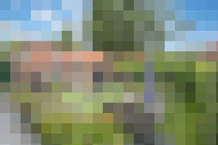 Dennenlaan 3 Maarn thumbnail 33