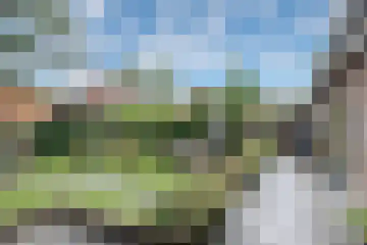 Dennenlaan 3 Maarn thumbnail 34