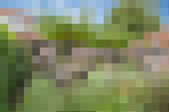 Dennenlaan 3 Maarn thumbnail 35