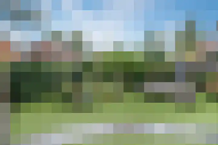 Dennenlaan 3 Maarn thumbnail 36