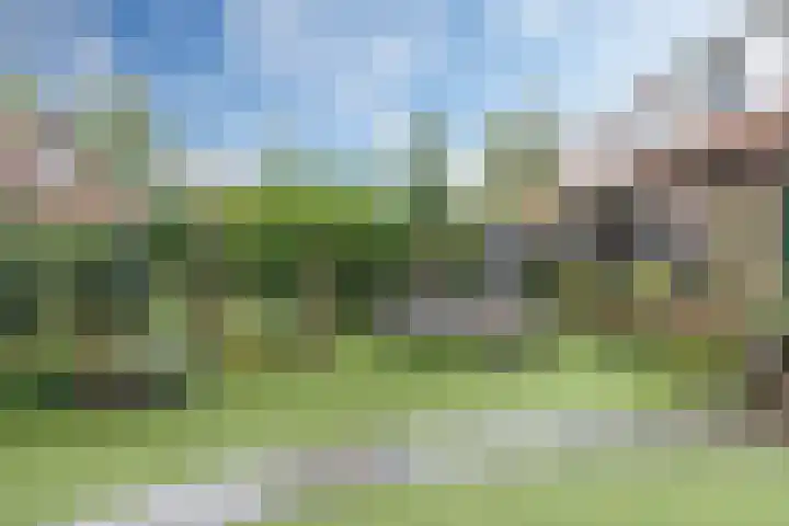 Dennenlaan 3 Maarn thumbnail 38