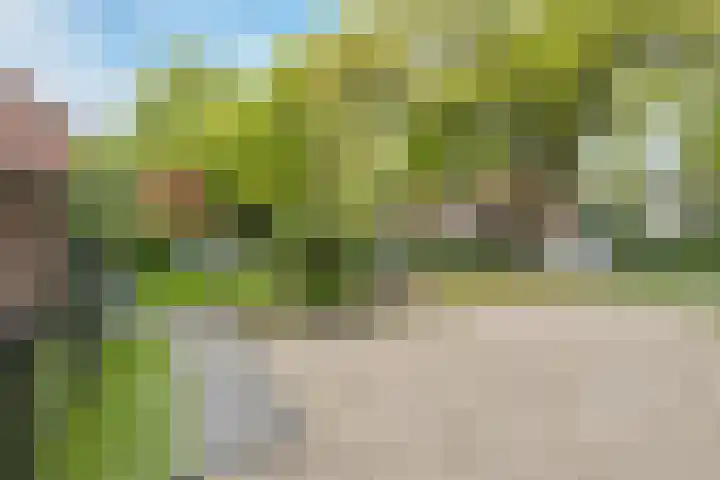 Dennenlaan 3 Maarn thumbnail 43