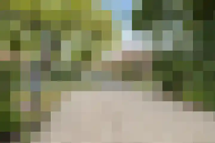 Dennenlaan 3 Maarn thumbnail 45