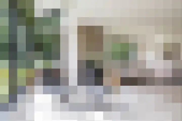 Dennenlaan 3 Zuidlaren thumbnail 10