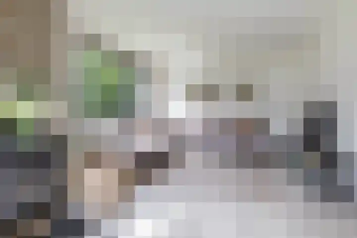 Dennenlaan 3 Zuidlaren thumbnail 11