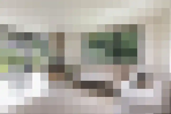 Dennenlaan 3 Zuidlaren thumbnail 12