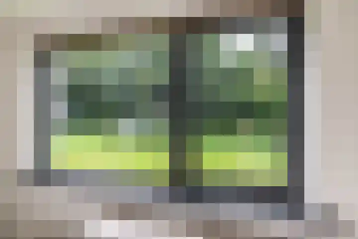 Dennenlaan 3 Zuidlaren thumbnail 13