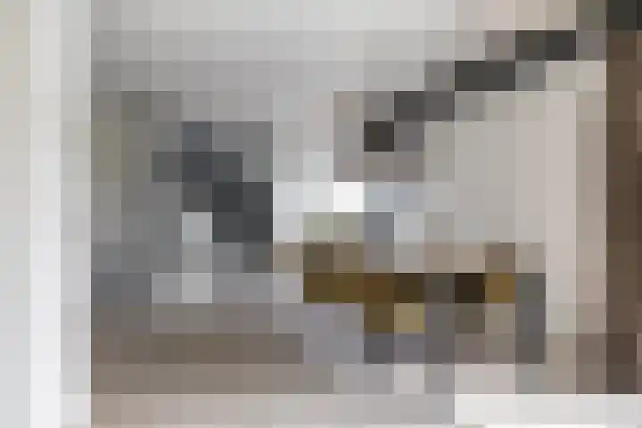 Dennenlaan 3 Zuidlaren thumbnail 14