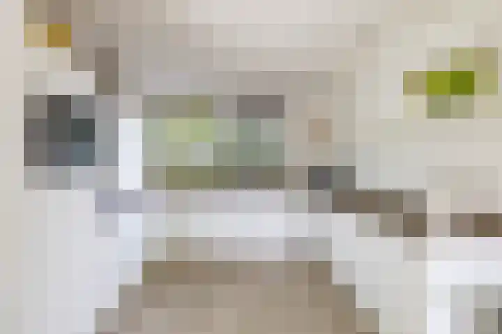 Dennenlaan 3 Zuidlaren thumbnail 15