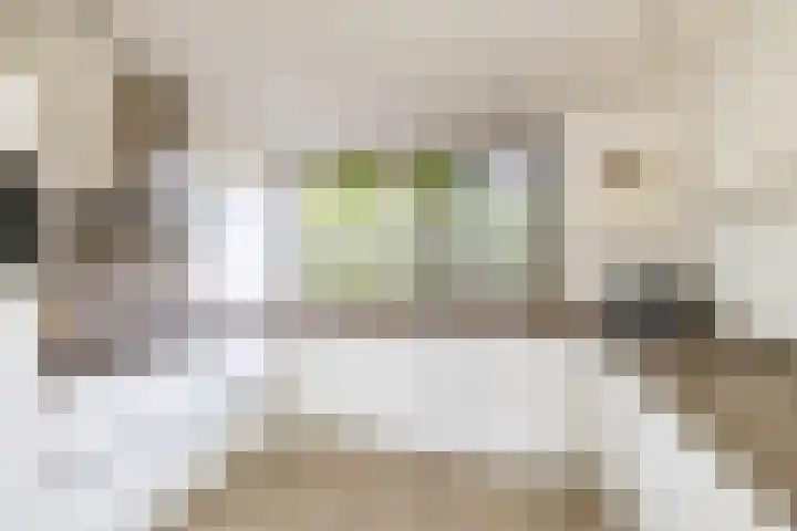 Dennenlaan 3 Zuidlaren thumbnail 16