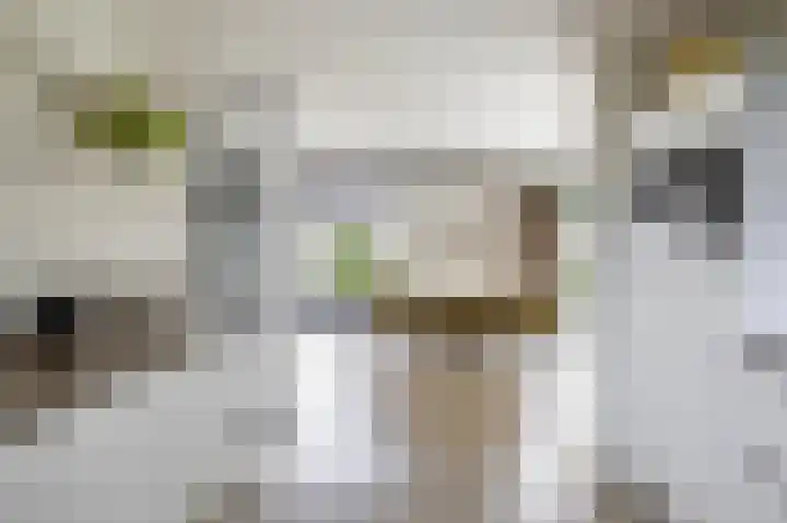 Dennenlaan 3 Zuidlaren thumbnail 17