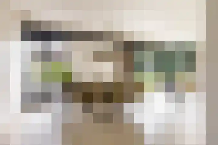 Dennenlaan 3 Zuidlaren thumbnail 18