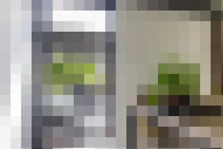 Dennenlaan 3 Zuidlaren thumbnail 19
