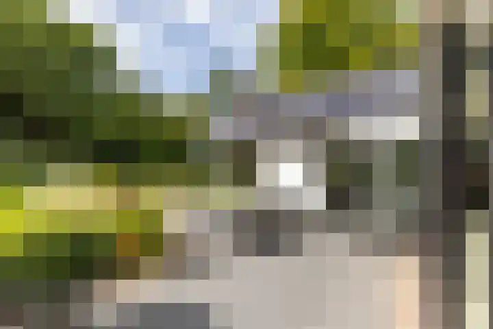 Dennenlaan 3 Zuidlaren thumbnail 20